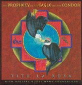 The Prophecy of the Eagle and the Condor artwork