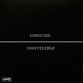 Lungfish - Tick Tock