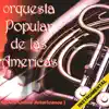 Orquesta Popular De Las Americas