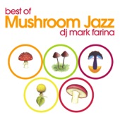 Best of Mushroom Jazz Vol. 1-5 artwork
