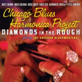 Chicago Blues Harmonica Project - Baby What You Want Me to Do