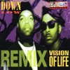 Vision of Life Remix - EP
