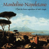 Mandolino Napoletano artwork