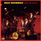 The Beau Brummels - Good Time Music