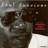 Soul Survivor (The Best of Mighty Sam McClain) artwork