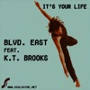 It's Your Life Featuring Louis Benedetti (Remixes)