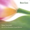 Adagio Appassionato - Brian Crain lyrics