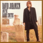 David Johansen and the Harry Smiths - Death Letter
