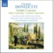 Concertino in C minor for flute and chamber orchestra artwork