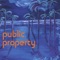 Coconut Song - Public Property lyrics