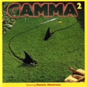 Gamma - Something In the Air