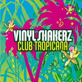 Club Tropicana (Marcus Levin Remix) by Vinylshakerz song reviws