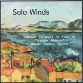 Solo Winds artwork