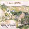 cyberchambermusic - Schubert Violin Sonata 3rd Movement