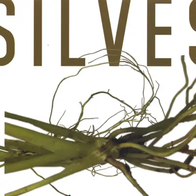 Silvestre - Silvestre Silvestre - Silvestre