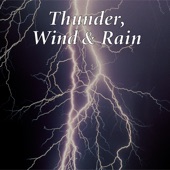 Thunder, Wind & Rain artwork