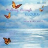 Walking Through Clouds, 2005
