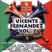 Cantar Como - Sing Along: Vicente Fernandez Vol.2 artwork