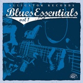Alligator Records: Blues Essentials, Vol. 1 artwork