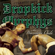 I'm Shipping Up to Boston - Dropkick Murphys