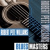 Blues Masters: Robert Pete Williams