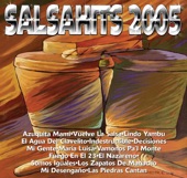 SalsaHits 2005 artwork