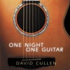 David Cullen & Michael Manring - Gavottes (Bach Cello Suite)