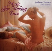 Music for Making Love artwork