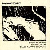 Roy Montgomery - The Opportunity Passed In Less Than a Minute