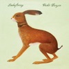 Vashti Bunyan - Hidden