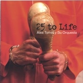 25 to Life artwork