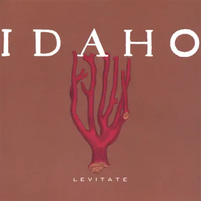 Levitate - Idaho