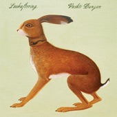 Vashti Bunyan - Same but Different