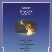Night Ragas, Vol. 2 artwork