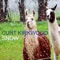 Golden Lies - Curt Kirkwood lyrics
