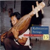 Music of Indonesia, Vol. 13: Kalimantan Strings