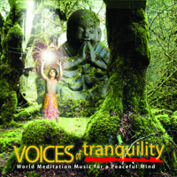 See New Project - Voices of Tranquility artwork