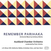 Remember Parihaka artwork