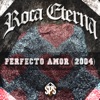 Perfecto Amor - 2004