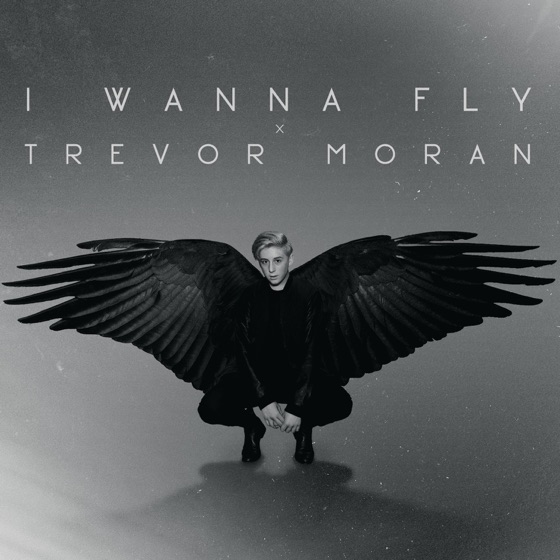 Cover artwork for I Wanna Fly