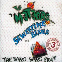 Sewertime Blues and Don't Touch the Bang Bang Fruit - The Meteors 