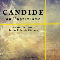 Voltaire - Candide ou l'optimisme artwork