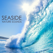 Seaside Nature Sounds - Underwater Sounds Specialists