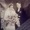 Sharon Next - First Man