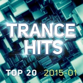 Trance Hits Top 20 - 2015-01 artwork