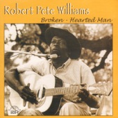 Robert Pete Williams - When I Lay My Burden Down