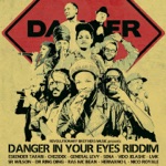 Revolutionary Brothers - Danger in Your Eyes (feat. Judah Eskender Tafari)