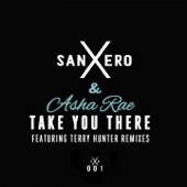 Take You There (Terry Hunter Remixes) - Single