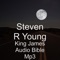 John 5 - Steven R. Young lyrics