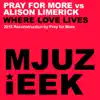 Where Love Lives (Pray for More vs. Alison Limerick) - Single album lyrics, reviews, download